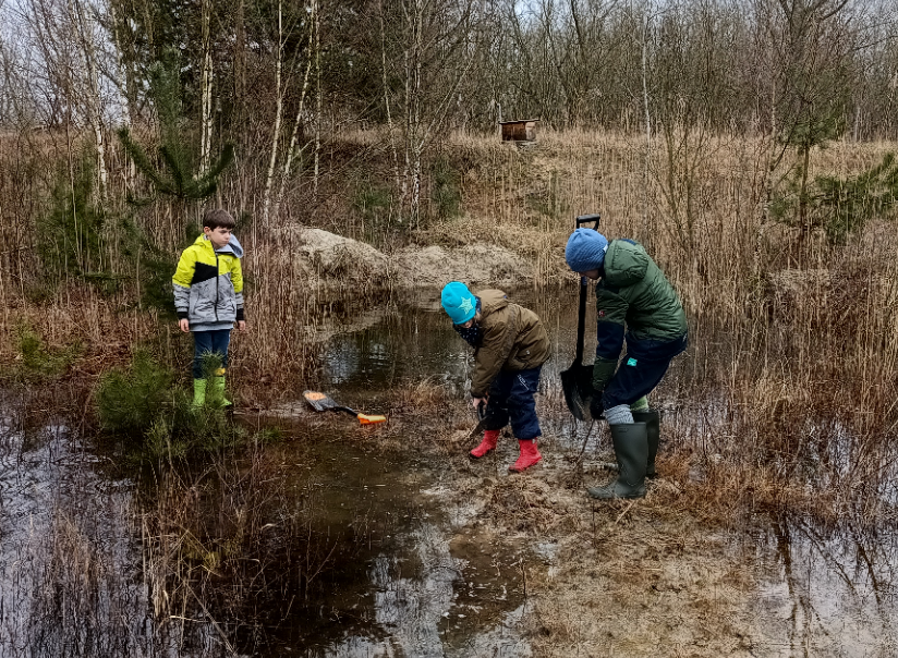 You are currently viewing Junior-Ranger: Arbeitseinsatz für den Amphibienschutz